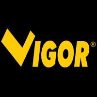 VIGOR VIGOR